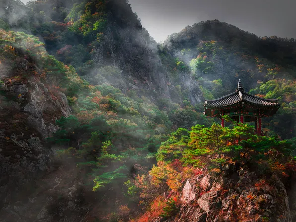 107 Creekside Dr NW #1, Calhoun, GA 30701