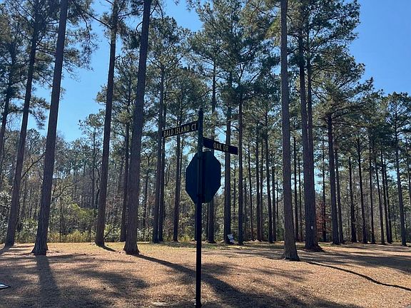 5th image of 23 Bald Head Island Court S LOT 121