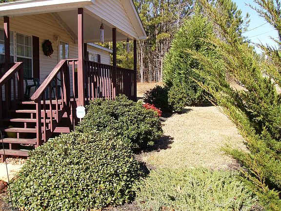 Evergreens at front porch