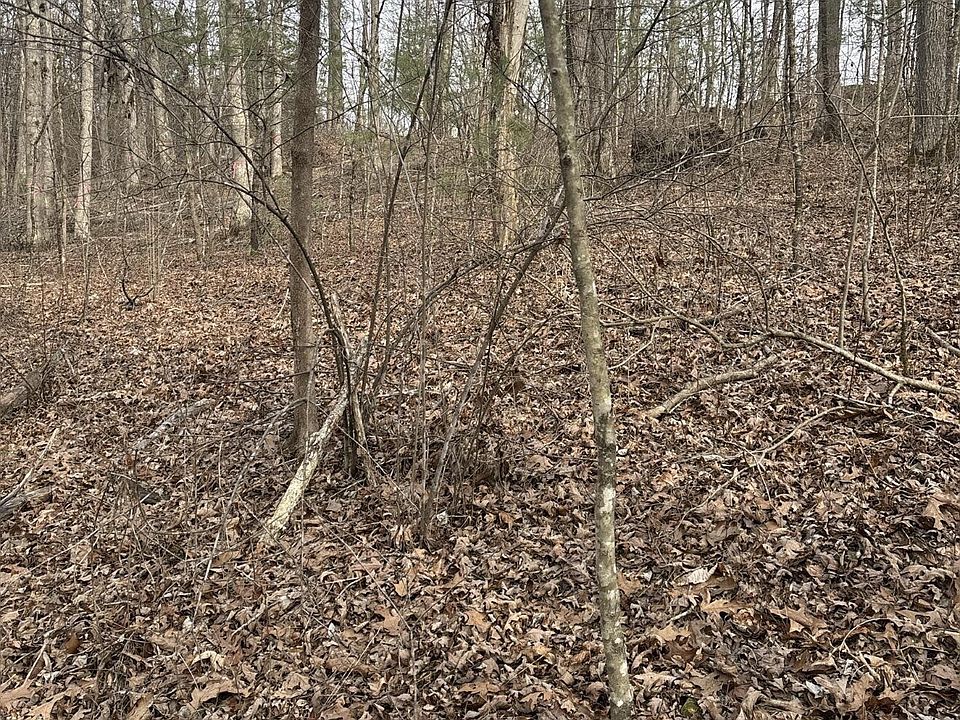 2nd image of 0 Brown Creek Dr