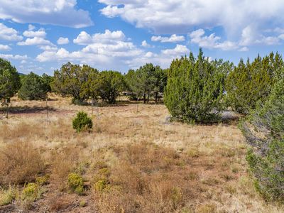 1145 E Tamarack St #190, Williams, AZ, 86046