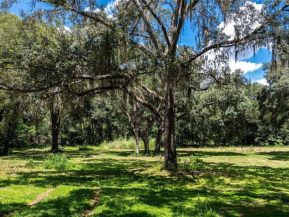 10951 SE 128th Place Rd, Ocklawaha, FL 32179 | MLS #826116 | Zillow