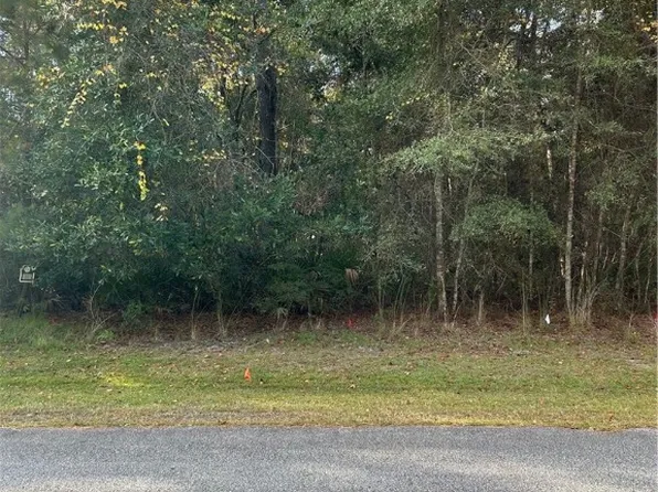 A 52 Sanderling Trl, Waverly, GA 31565
