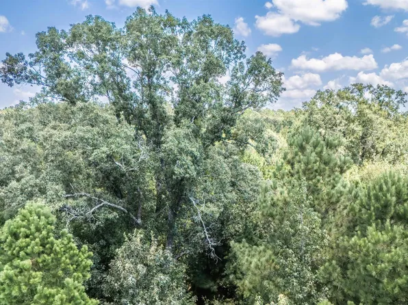 Carmel Rd, Jefferson, TX 75657