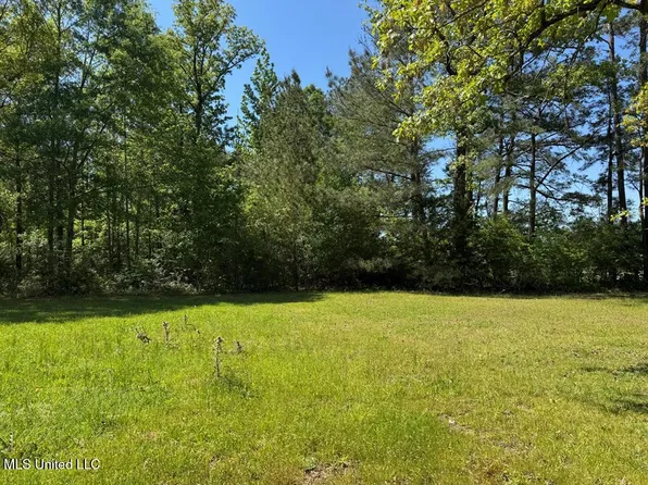 Bogue Chitto Rd, Bogue Chitto, MS 39629