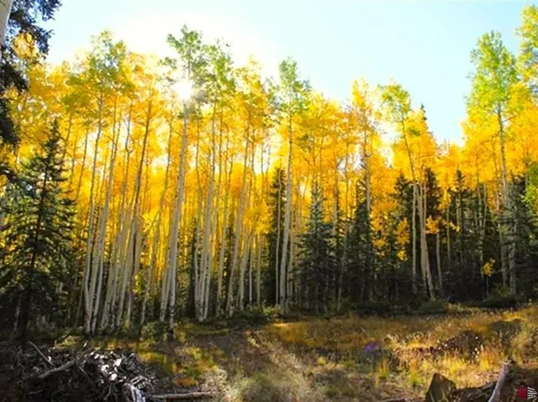 8510 Hinsdale County Road 30, Lake City, CO 81235