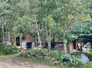 74 E Pine St, Nederland, CO 80466