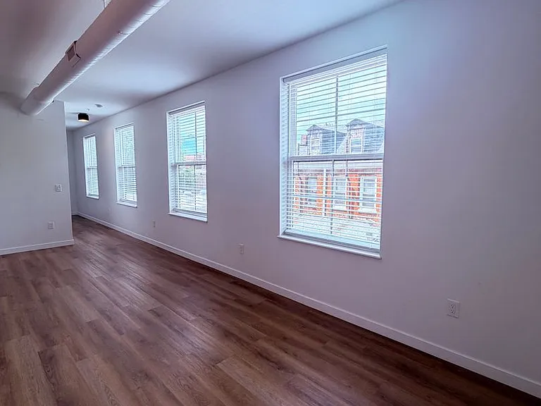 308 Miltenberger Street — Photo 31