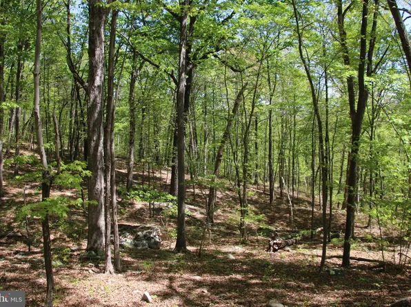 N Egypt Bend Rd, Luray, VA 22835