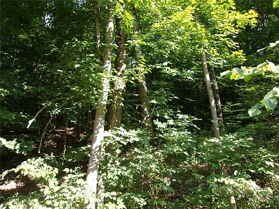 2nd image of Gridleyville Rd