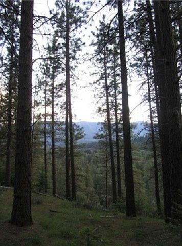 2nd image of 660 Snowberry Loop