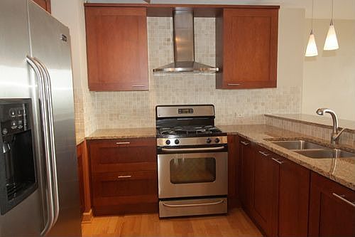 5th image of 1150 N Lake Shore Dr APT 10D