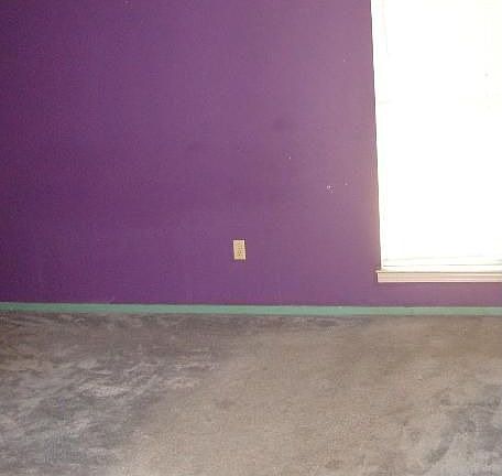 5th image of 3845 Ivanhoe Dr