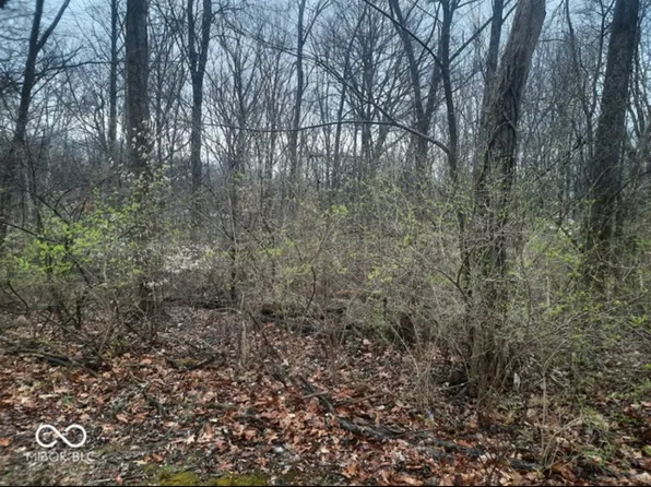 6297 Martin Dr, Nineveh, IN 46164