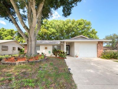 142 Stafford Cir, Palm Harbor, FL, 34684