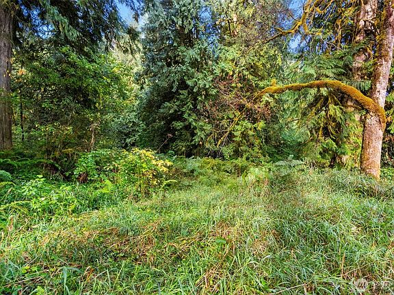 3rd image of 0 NE Cedar Creek Road