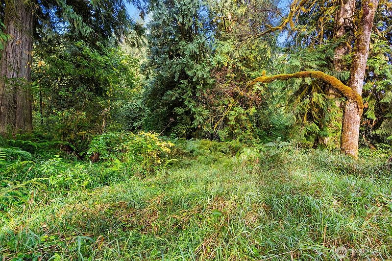 3rd image of 0 NE Cedar Creek Road