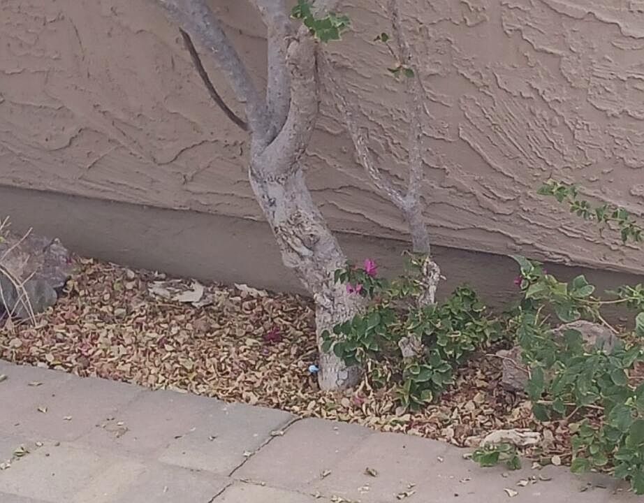 2nd image of 9611 E FOSTER Avenue