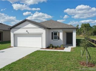 3003 Neverland Dr, New Smyrna Beach, FL 32168