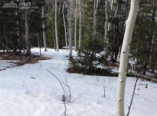 830 Little Topsey Dr, Cripple Creek, CO 80813