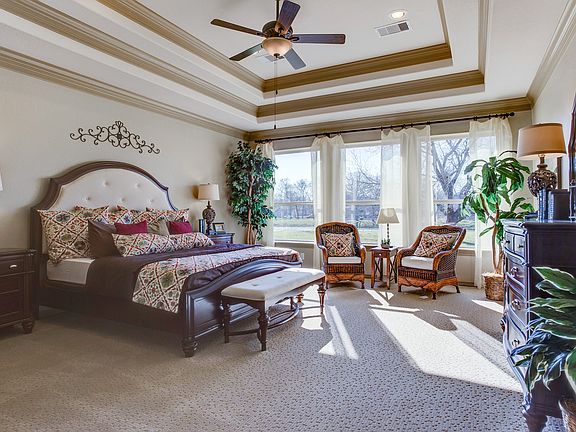 Owner's suite with tray ceilings