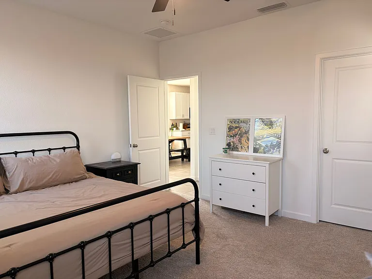 Master Bedroom / Closet Door