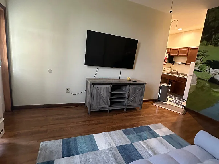 Living room TV view. 65" TV and console come with the apartment. The ceiling fan works well for extra cooling & heating, keeping the air moving all yr long. We have a different sofa there now (removable if you prefer your own)