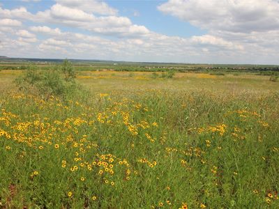 2 Marshal Trl, Tuscola, TX, 79562