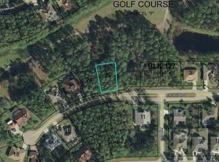 20 Erickson Pl, Palm Coast, FL 32164