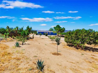 3477 Highway 138, Pinon Hills, CA, 92372
