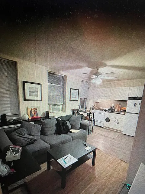 1 bed, 500 sqft, $1,235 — Photo 3