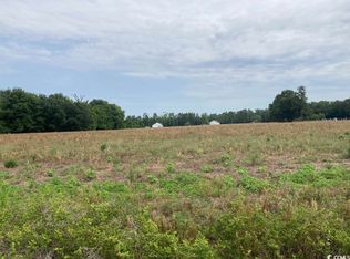 L-8 Vox Hwy, Johnsonville, SC 29555