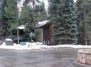 252 W Meadow Dr E, Vail, CO 81657
