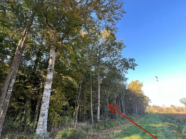 10ac W Gibbs Road, Knotts Island, NC 27950