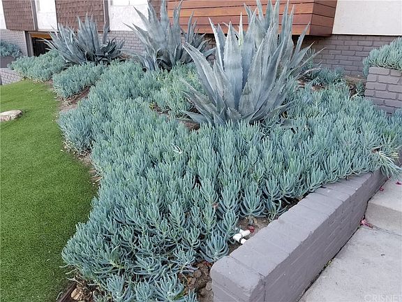 4th image of 6209 Coldwater Canyon Ave #36