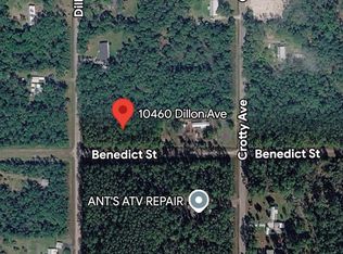 10460 Dillon Ave, Hastings, FL 32145