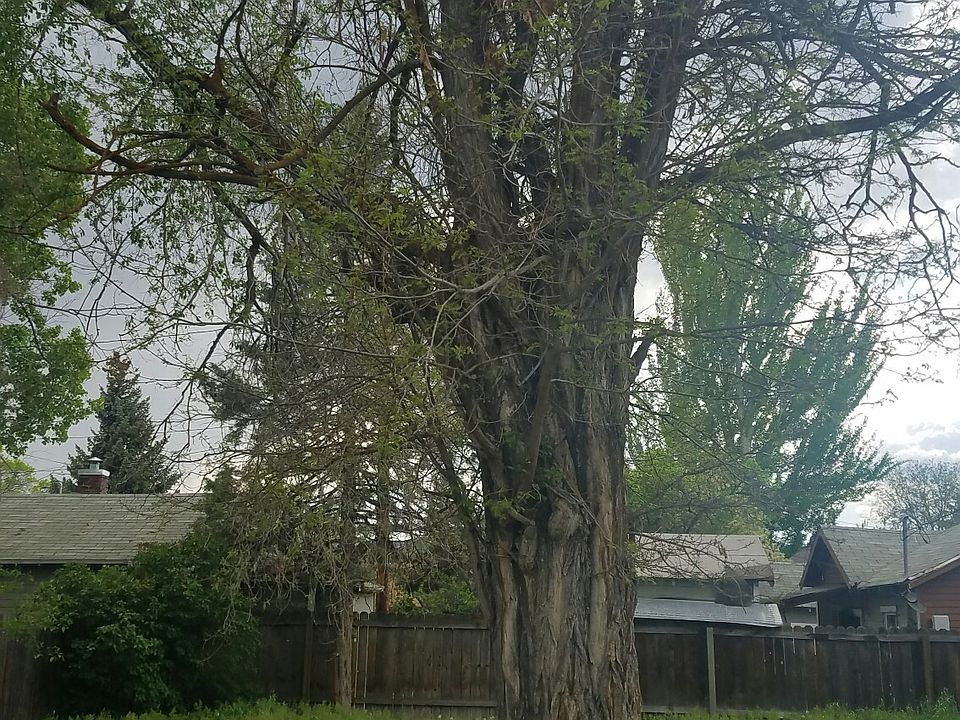 2nd image of 1130 Owens St