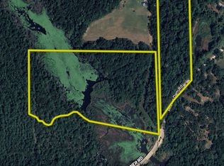 15570 Beaver Dam Rd LOT WP001, Citronelle, AL 36522