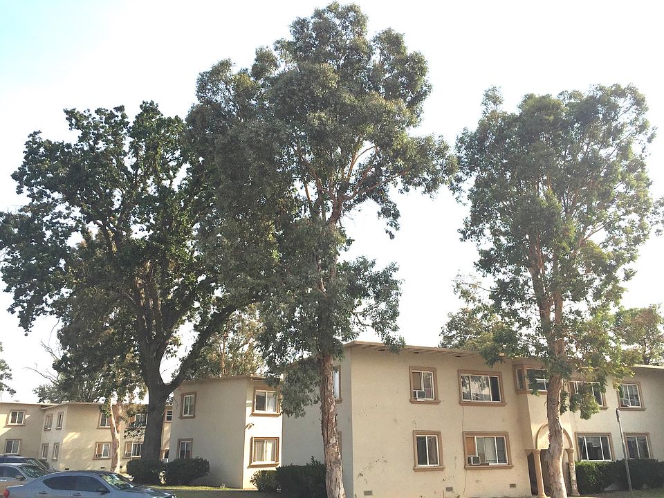 2nd image of 102 Spring St #240