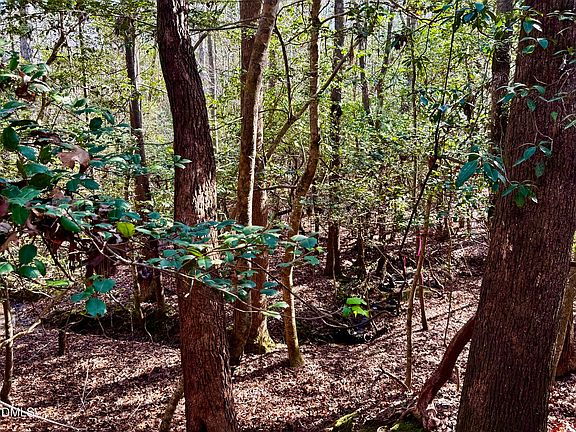 5th image of 2046 Treetop Circle