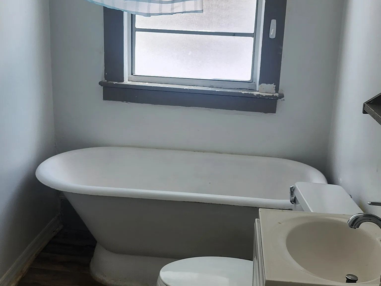 1 bed, 800 sqft, $1,375 — Photo 3