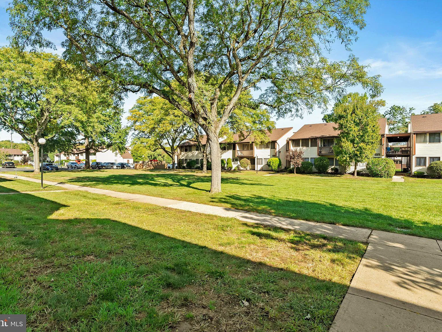 2 bed, 1.5 bath, 986 sqft, $2,450 — Photo 2