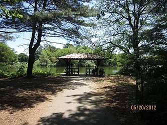 Rented by Space Real Estate