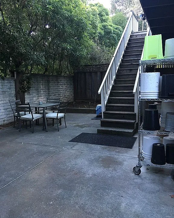 shared back yard 