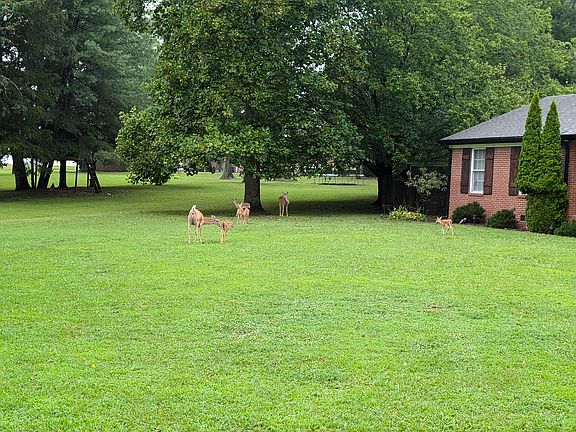 2nd image of 2514 Sam Houston Ct