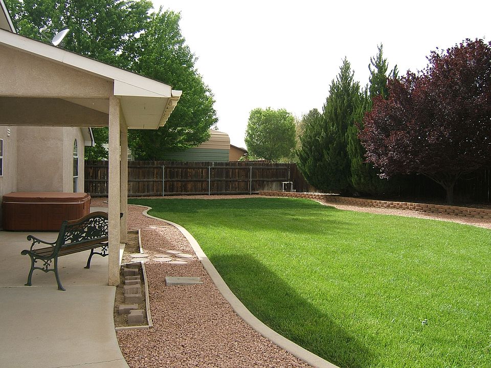 Park like backyard