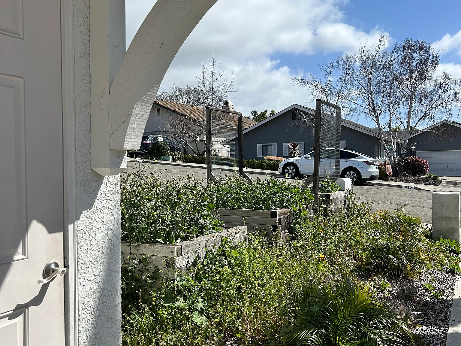 1 bed, 641 sqft, $2,250 — Photo 3