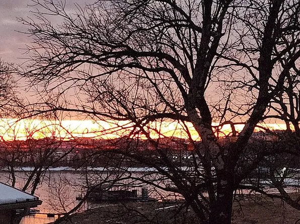 59 Tom Turkey Cir, Branson West, MO 65737