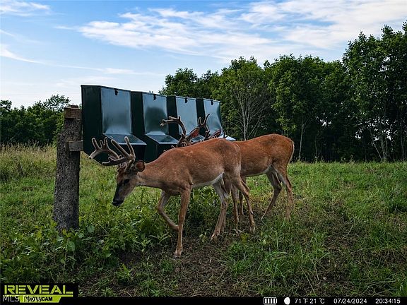5th image of Taylor Rd