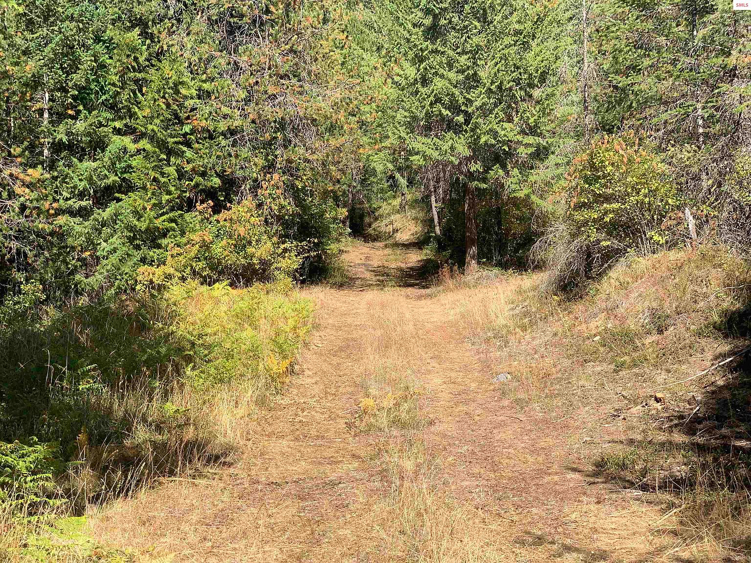 Kreiger Creek Rd, Careywood, ID 83809 MLS 20232781 Zillow